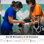"La visita veterinaria sospesa": Tiziano Ferro sostiene il progetto LAV