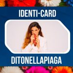 WhatsApp Image 2026-01-28 at 17.09.51