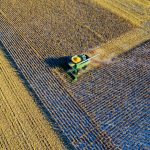 pexels-tomfisk-1595107