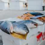 pexels-helen1-31222474