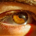 pexels-wal_-172619-2156618639-36425206