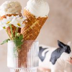 agrigelaterie